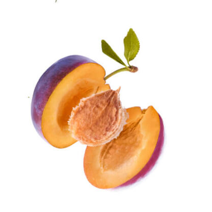 Confiture de prune Herbapol 290 g • Powidła węgierkowe – Image 2