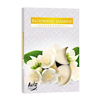 Bougies chauffe-plat Blooming Jasmine